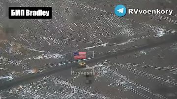    Bradley   