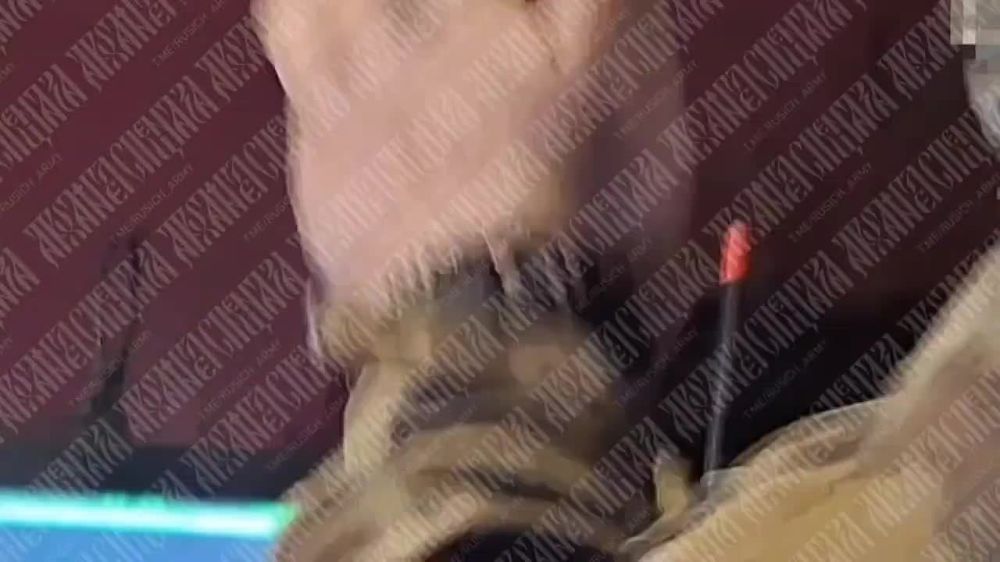 ��������� �������: ����� � HD. ����� ��������� ����������� ����� �� ������� �����������