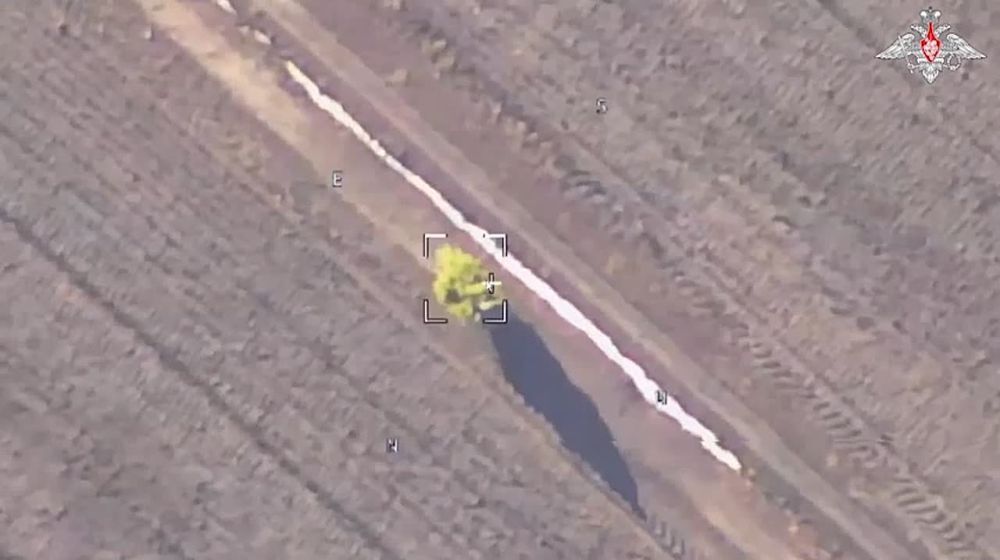 Несущийся по полю куст заметили наши операторы БПЛА во время разведки в Сумской области