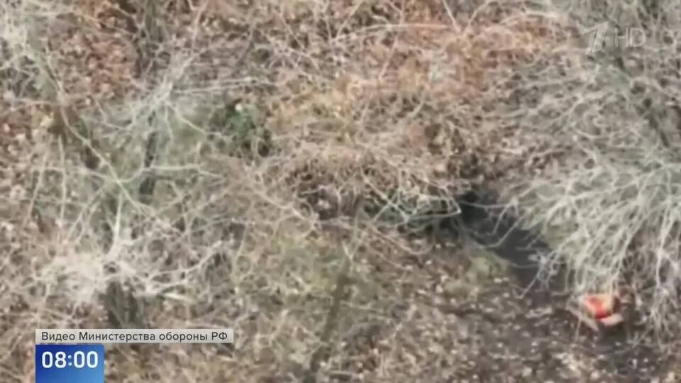 Наземный БПЛА подорвал блиндаж ВСУ в лесу на харьковском направлении: видео