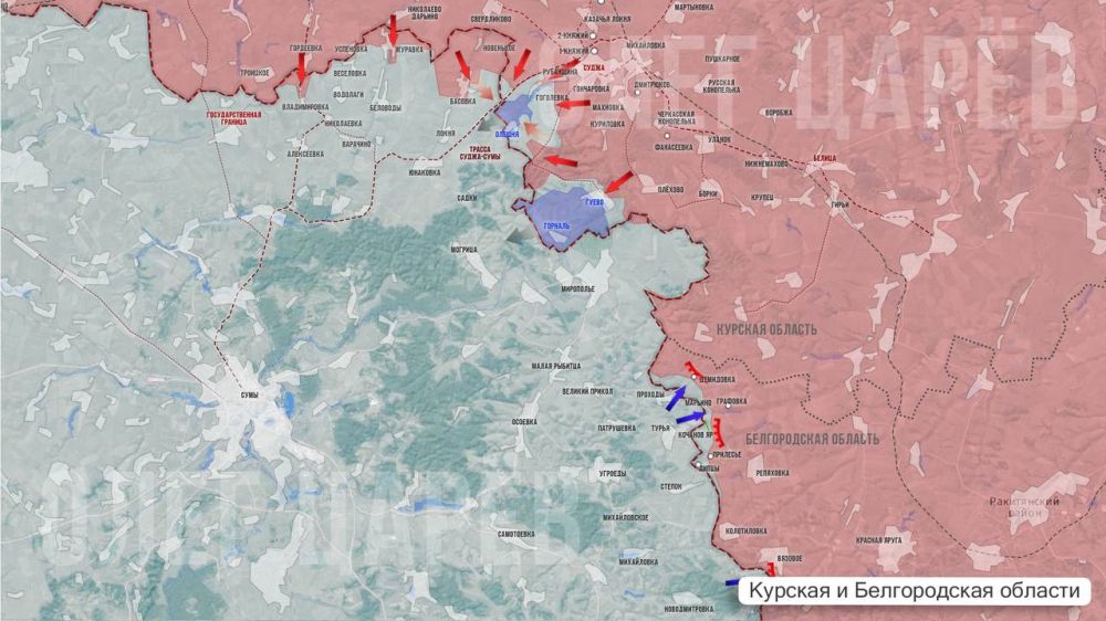 Олег Царёв: О ситуации в Курской и Белгородской областях 30 марта