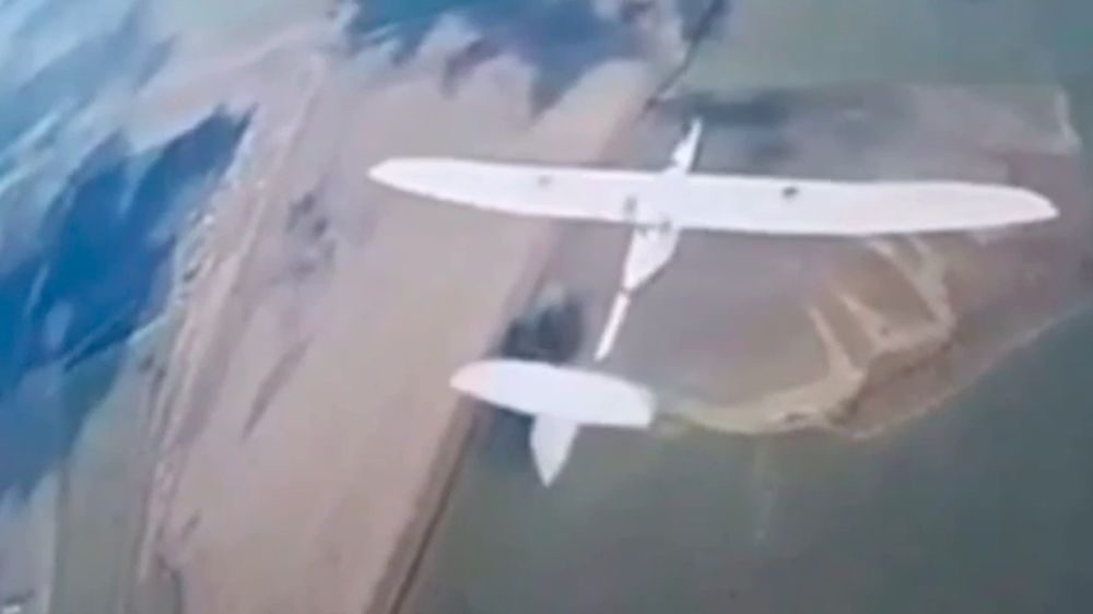 FPV-���� ������� ���� ��������� ����������� FlyEye � ������� �������