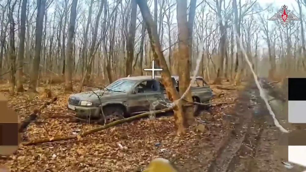  :  :  FPV-       