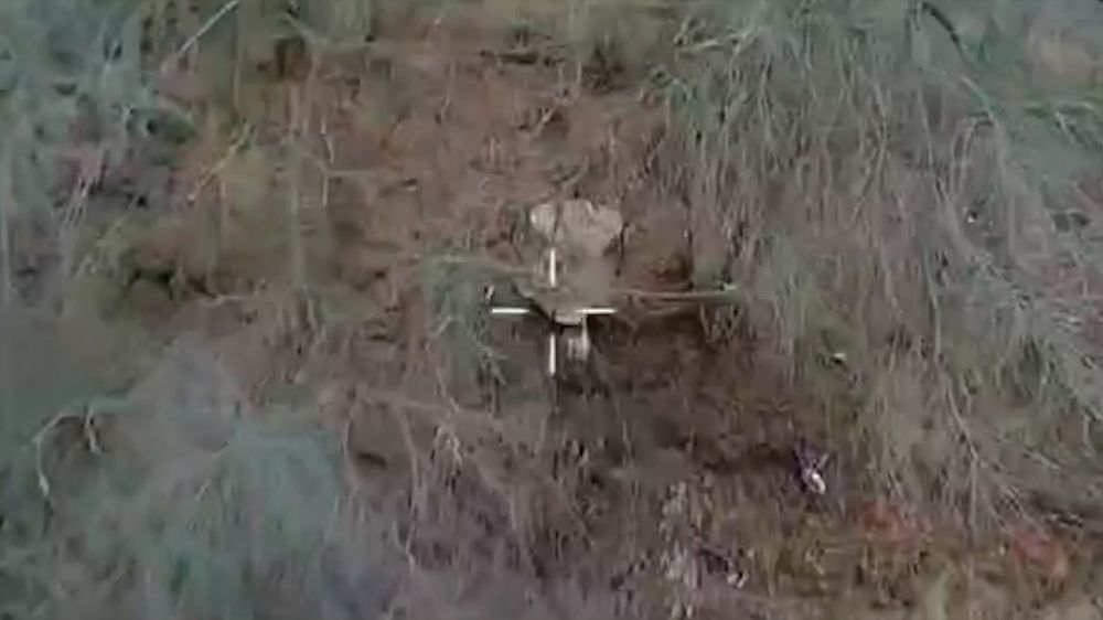 ���������� FPV-���� ��������� ���������� ������� ��� � ������� �������