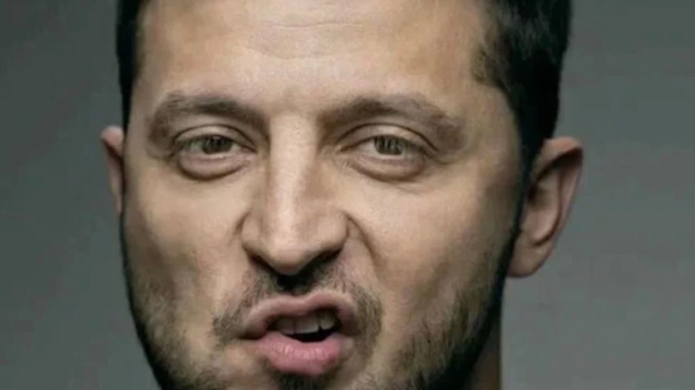 &quot;Сумская область тоже к нам отойдёт&quot;: Зеленский подал сигнал России. Военкор расшифровал новое селфи