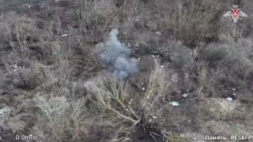  :  FPV-           