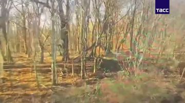  FPV-     ""        ,    