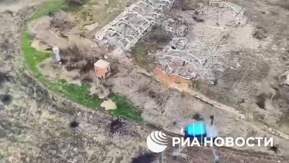 ������� �������: ���������� 83-� ����������� ��������-��������� ������� ���