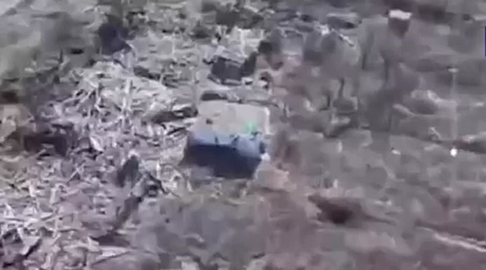 ���� ����� ������� ���� � ������� ������� �������