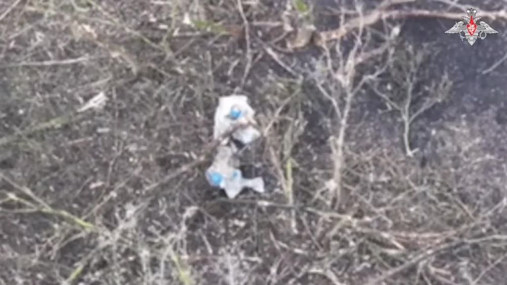 ������� �������: �������������� ������������� ����������� ����� ������ ���������� �����������-���������������� ������ ���