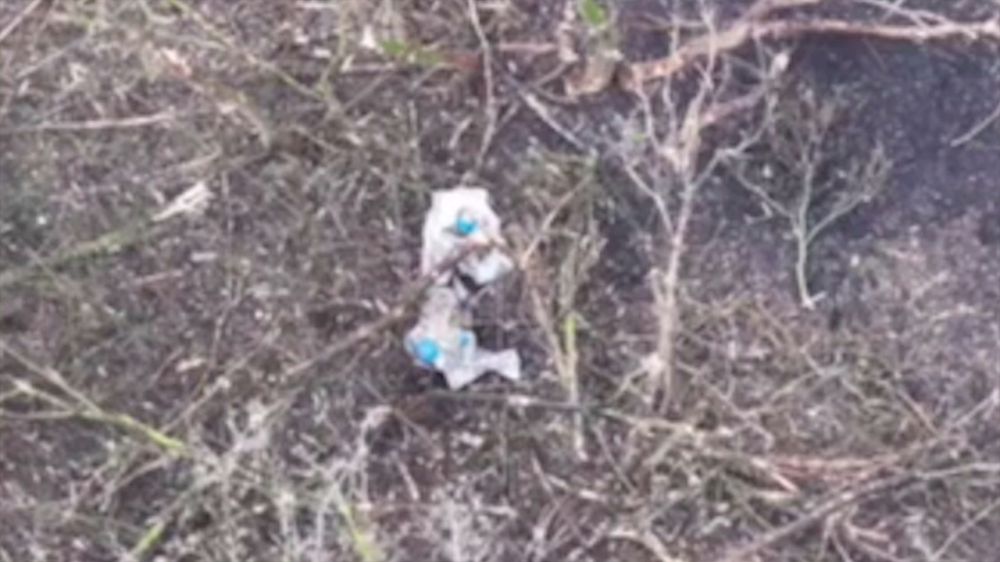 ���������� ������������� ������������ ��� � ������� �������