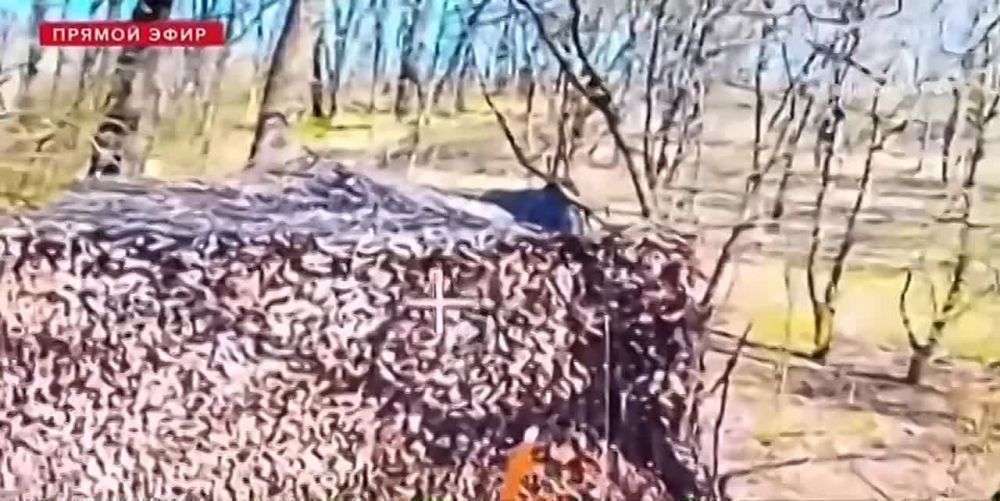 ����� �������: ������ � �������� � ������� � ������� �������� �� �����