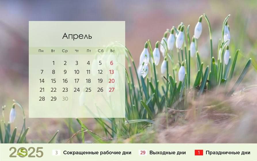 Александр Коц: ВЕЧЕРНИЙ ЗВОН:. эхо уходящего месяца