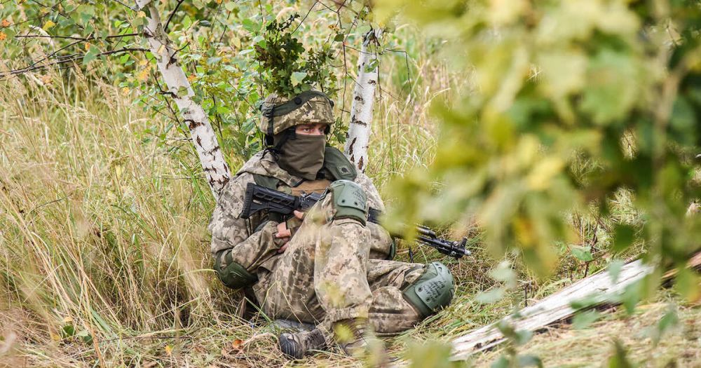 �������� ������: ������� ��� ��������� �������������� �� ������� �����������