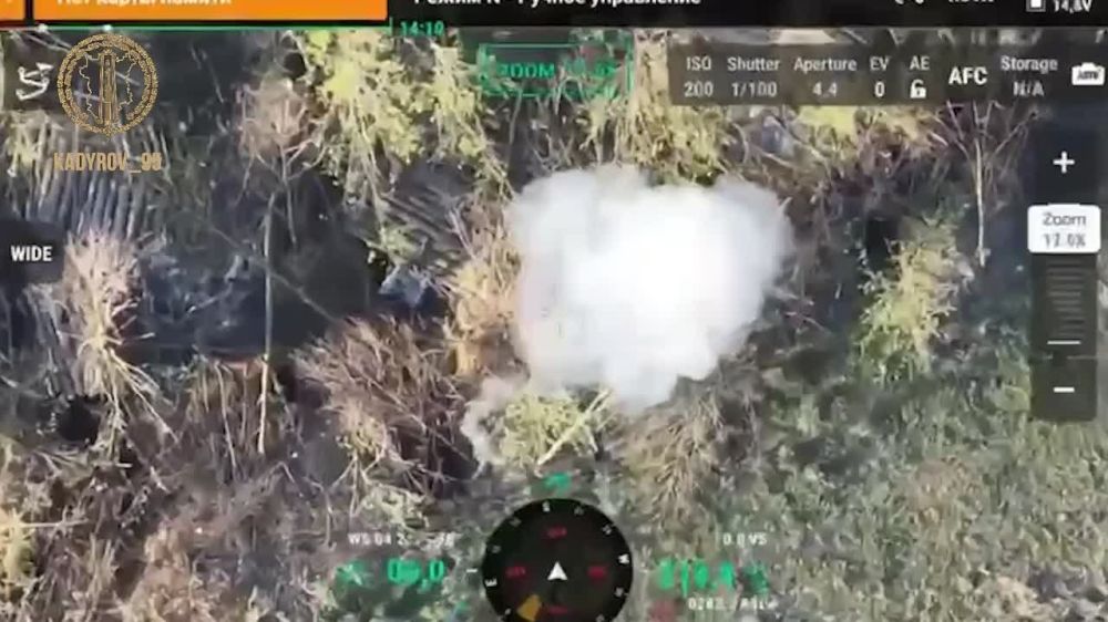 ������ �������: ������� �������. � ���� ������������, ���������� ������� ���������� ���� ����� ������-�����߻ �� �� �� ������� ������ ��������-����, ��� ��������� ������� ����� ������������ � ������������� ���������...