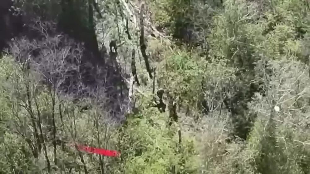 ����� ����� ������ ������� ��������� ����� ����������� ������ ���, ������� �������� ���������� �� ������� ������� � �������