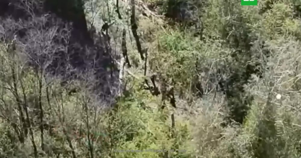 �������: ������� ������������ ������������� ��� �� ���������� ������� �������