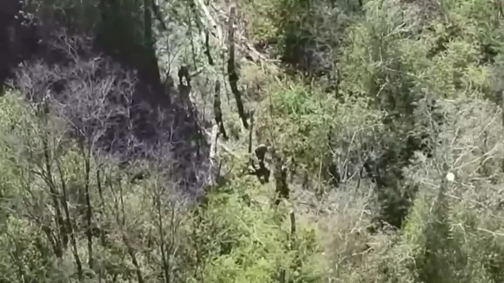 ��������� �������: ������ ���������� �������� ���������� � ������� ������� � ���� ���������� ��������