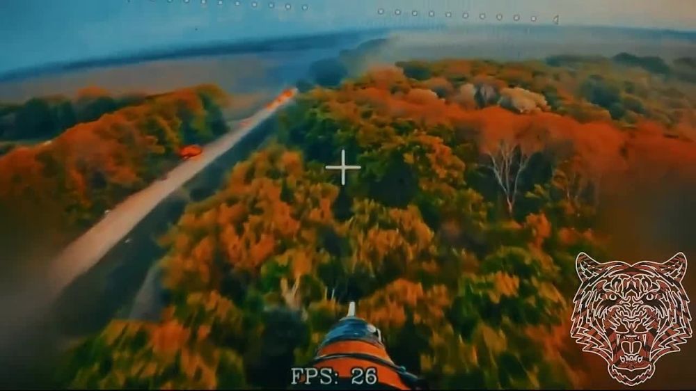 ���� ��������: ����������� ������� ��� �� 6 ������ � ������� �������