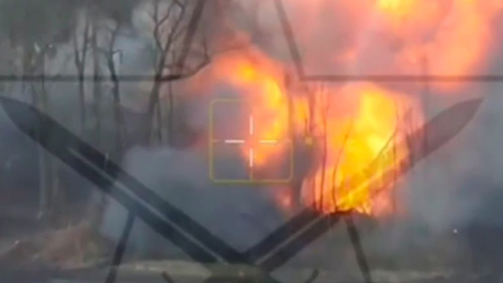 �� �� �������� ����������� ����������� ����� �� ������� �����������