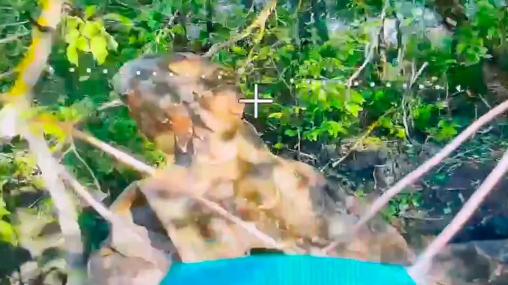 ������ �� ����������� ����������� ���������� ������������� ������� ���