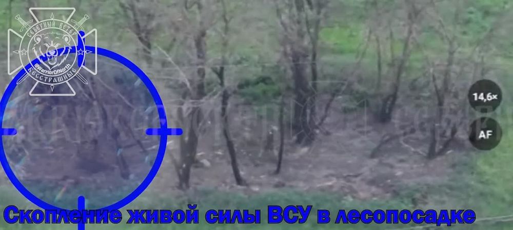    :   ,   ,   ,    