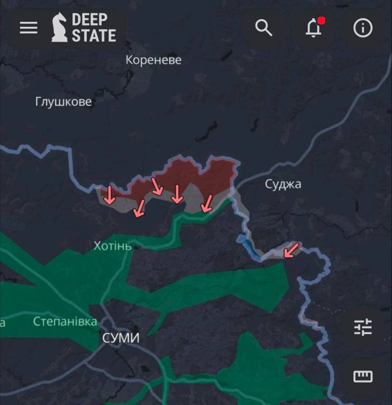 Сергей Лебедев: Хохлоистерика. Есть така помороженная рогулиха Безуглая