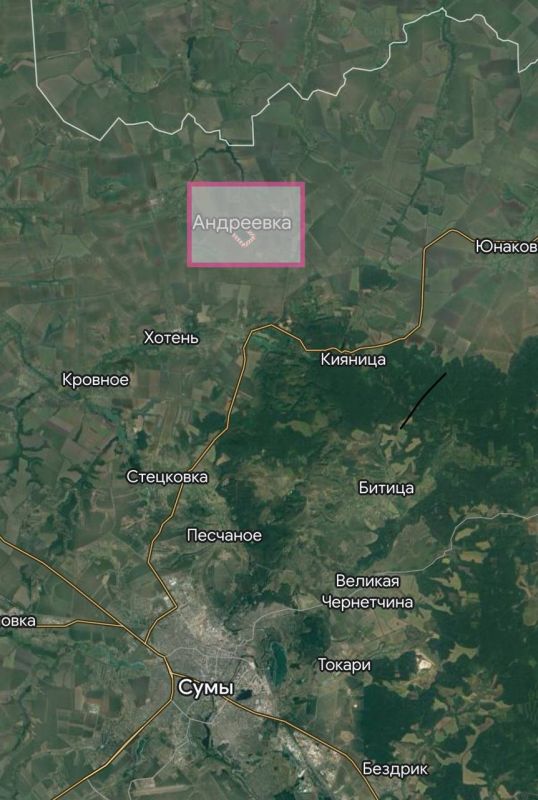 Сергей Мардан: Армия России заняла село Андреевка в 5 км. от границы с Россией и в 20 км. от Сум