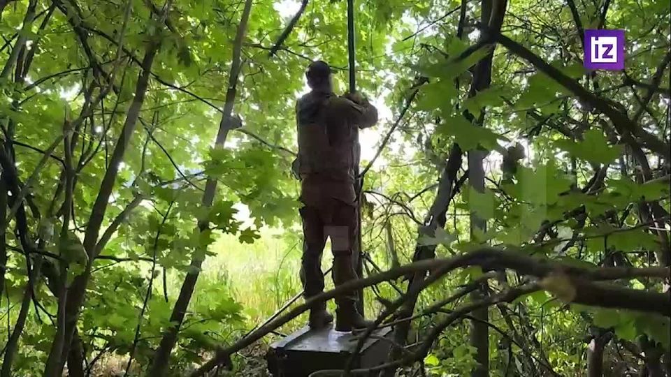 ���������� �������������� ������������� ����� "���������" �� ������ ������������� ����� � ������������ ����� ������� � ������� ��������