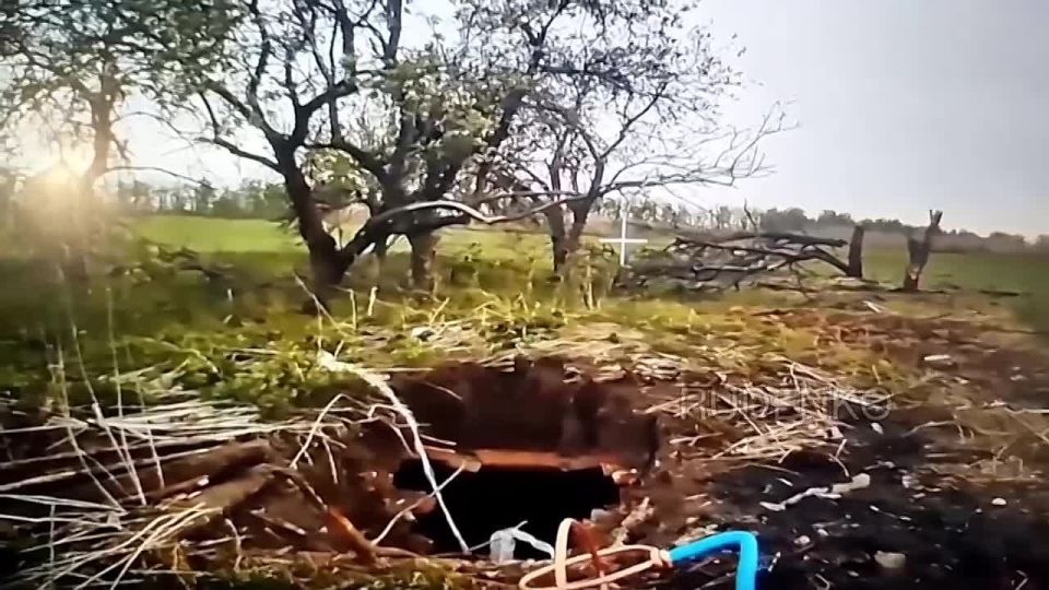  :  810-              FPV-            ...