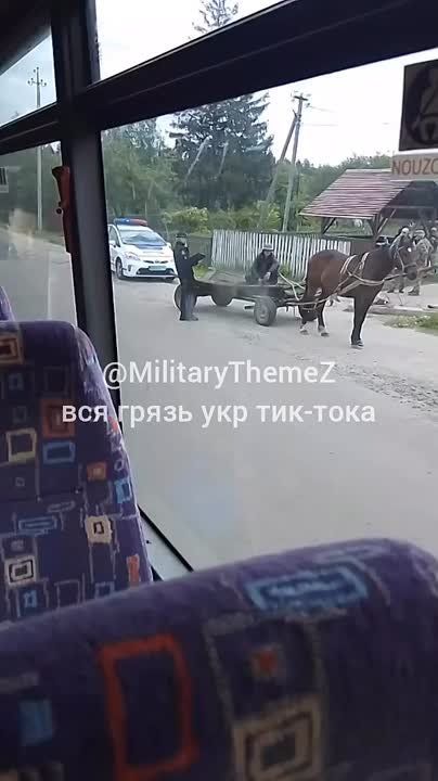   ,        :        !