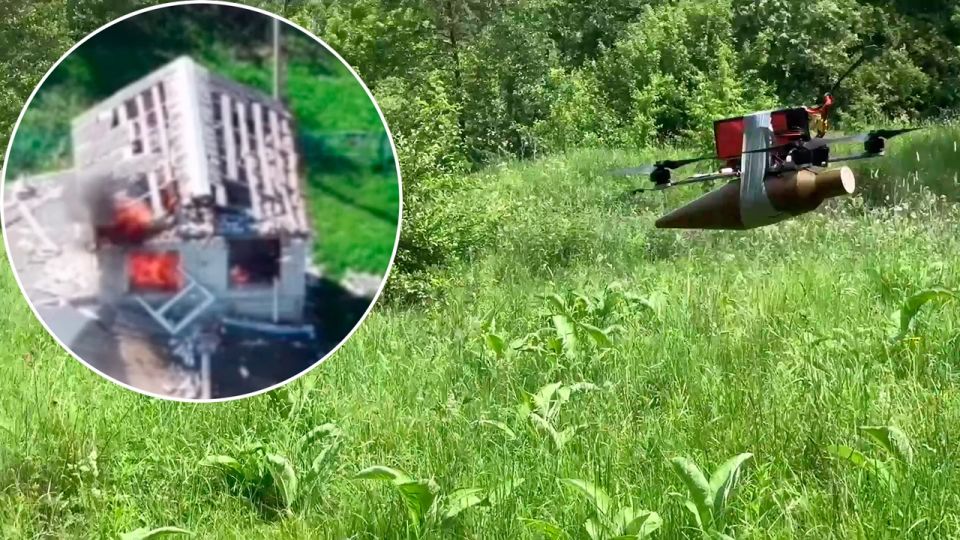 ������� ���� ������� ���������� ������� ������� ���