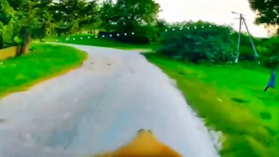      FPV-