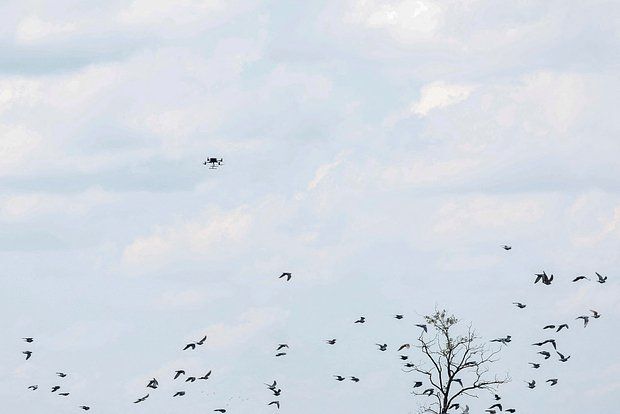 ��� �������: ��� ������� ������� � ������ �������