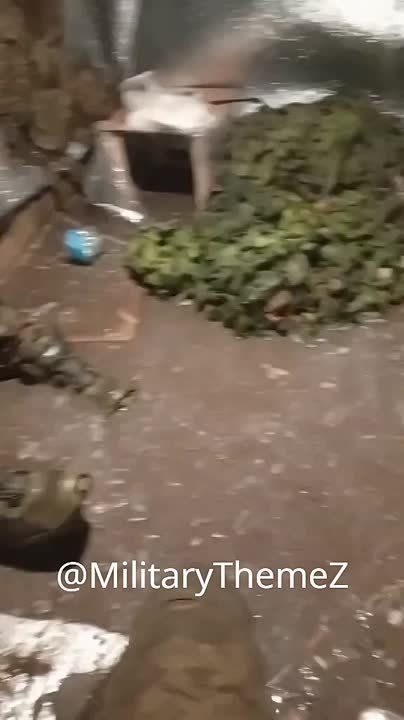 .        ,  ,   