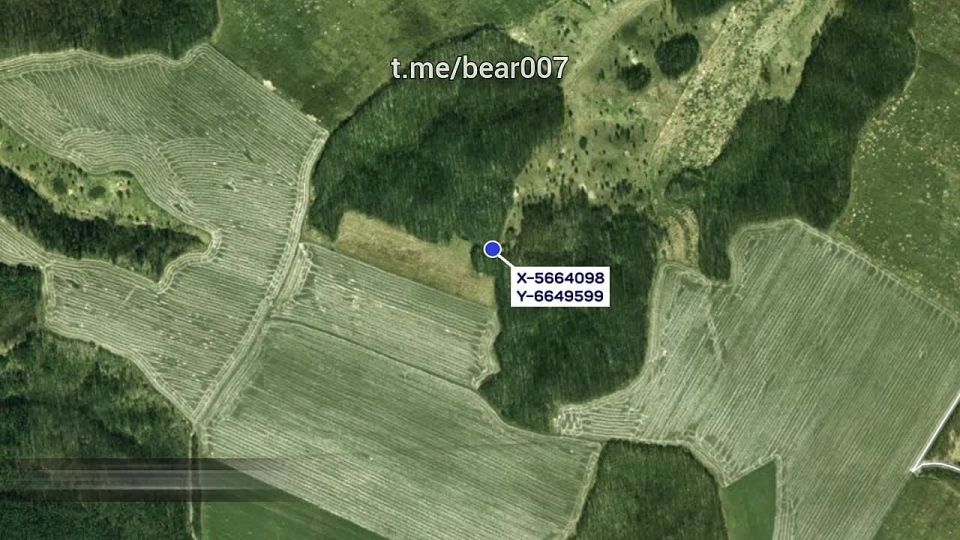  &quot;&quot;    ,       :