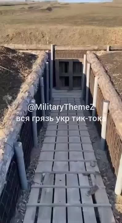  ,    ,         ,    