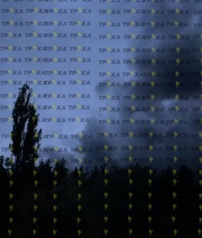 29  2025 .  00: 00   ,       - 