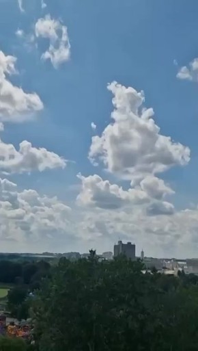 Юрий Баранчик: Герань заглянула на прием в областную администрацию г. Сумы
