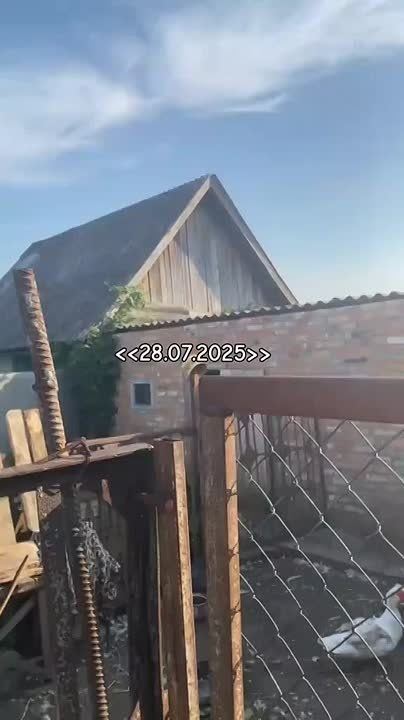  :        &quot;&quot;       ..   . 28  2025 