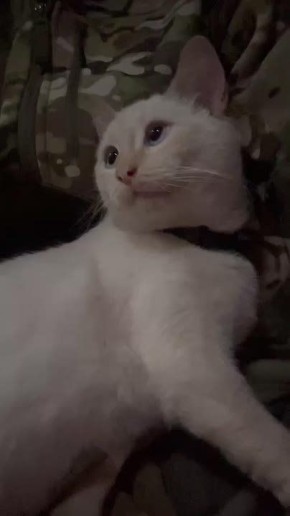 , !.       , ,     
