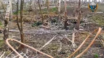 Десантники продолжают проводить яркую и сногсшибательную фотосессию для чубатых воинов в Сумской области