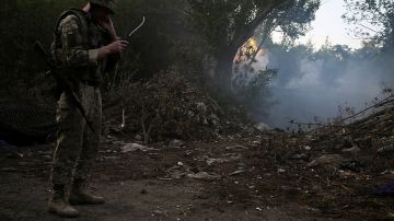 ТАСС: Одна из бригад ВСУ исчерпала все свои силы в Сумской области