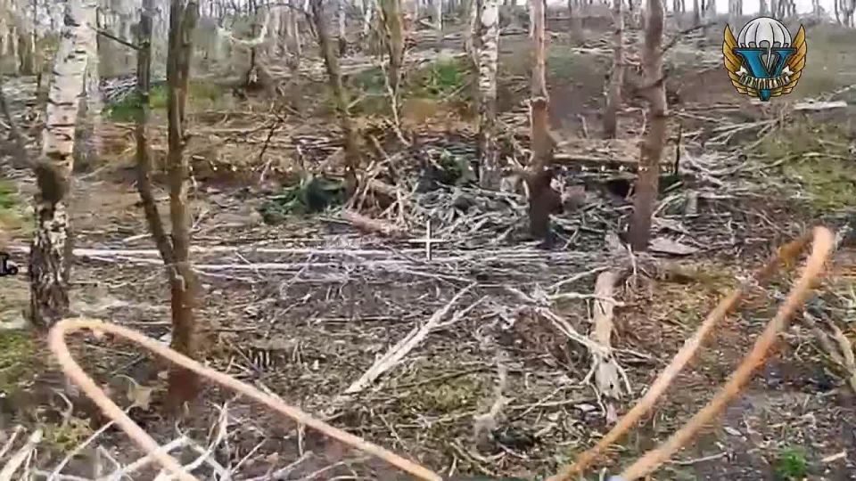 Десантники продолжают проводить яркую и сногсшибательную фотосессию для чубатых воинов в Сумской области