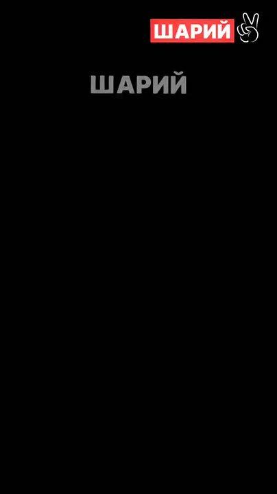  :       &quot;&quot;            ,   ( )  , ,   ...