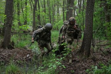 РИА: Более сотни штурмовиков числятся пропавшими в 80-й ОДШБр ВСУ