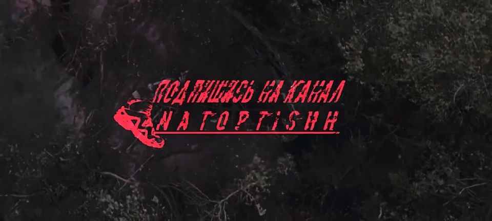Авиаудар по украинским позициям в районе Мирополья Сумской области
