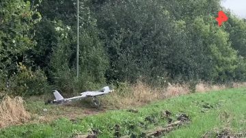 Расчеты батальона "Феникс" уничтожили пункты наблюдения украинских боевиков на территории Сумской области