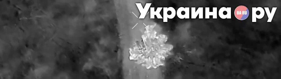    13    &quot; &quot;: