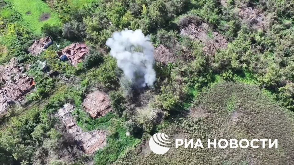  83-  -            ,   ,        &quot;&quot;